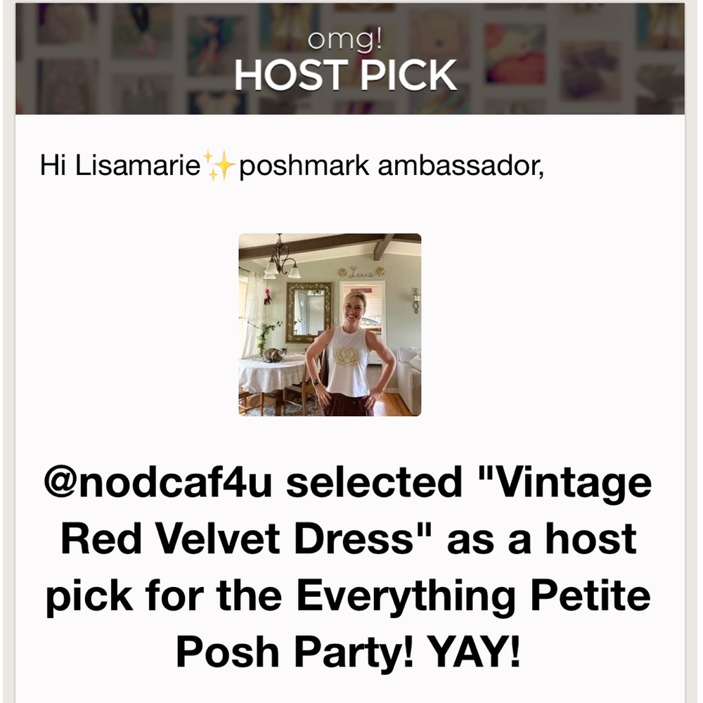 Vintage Red Velvet Dress - Picture 2 of 10